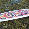 X Almond Surfboards - MWM Graphics